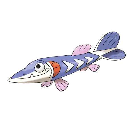 Arrokuda (shiny)