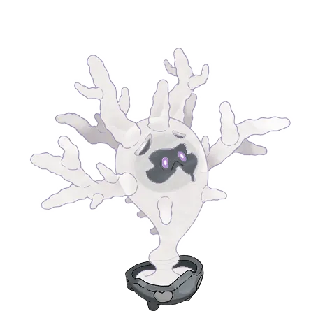Cursola (shiny)