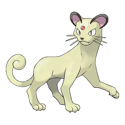 Persian (shiny)