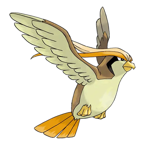 Pidgeot (shiny)