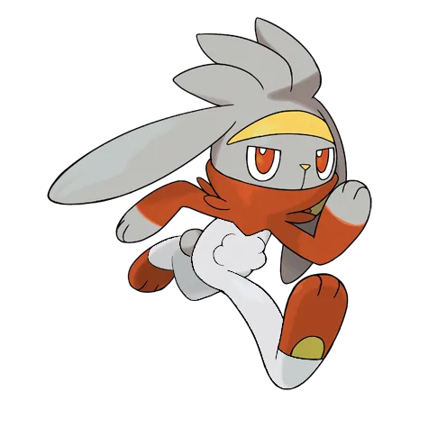 Raboot (shiny)
